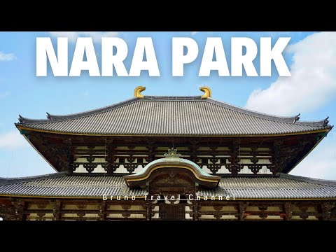 Let's go to Nara Park! Daibutsu and Kinkaku-ji!