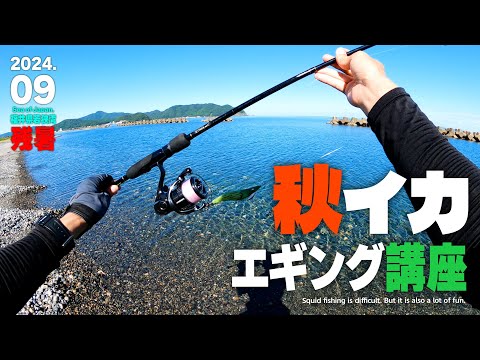 秋イカのエギング講座／福井県若狭湾で今がハイシーズンの新子アオリイカを釣る!!【秋の海釣り・サーフエギング】