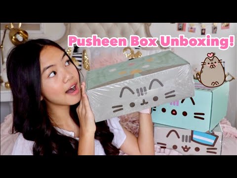 Pusheen Unboxing Video