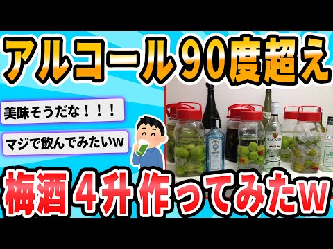 【2ch面白いスレ】今年も梅酒を漬けるわけだが