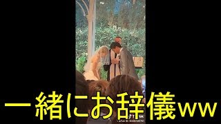 結婚式のベールアップで間違ってお辞儀しちゃう新郎が話題に!!