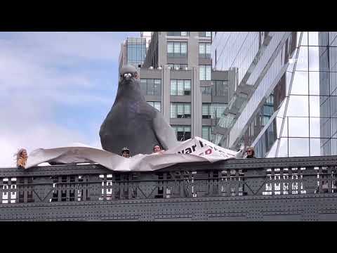 PETA drops Banner at 'PIGEON STATUE' on Highline Park Manhattan