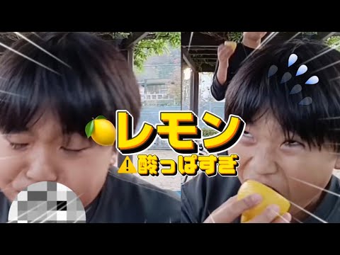 レモンをノーリアクションで食べてみた！！（前半）【神回】