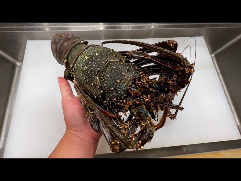 Japanese Fisherman Handles and Eats a Monster-sized Spiny Lobster!