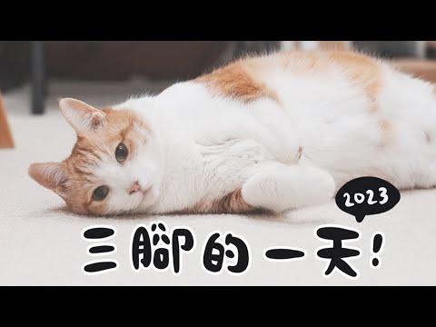 【黃阿瑪的後宮生活】2023三腳的一天！