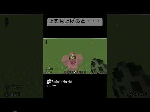 上は見るな！【マイクラ小ネタ】