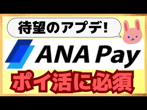 【要注意】ANAPayの残高が一つになりました！ANAPayマイル残高をお持ちの方は移行しないと残高失効してしまいます