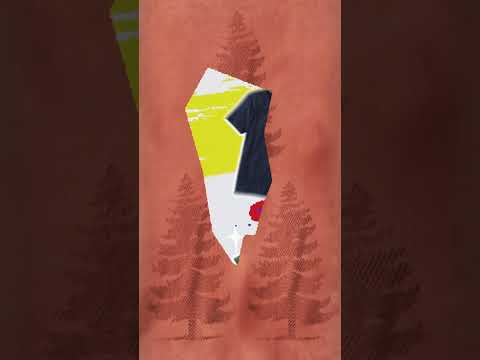 L.L.Bean｜SUMMER GRAPHIC TEE ALL STARS (Full Ver.)