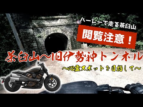 茶臼山高原＆心霊スポットで有名な旧伊勢神トンネルをハーレーで行く！ #バイク #ツーリング #ハーレーダビッドソン #harleydavidson #茶臼山