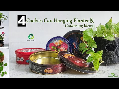 Don't Throw Away Cookies Cans After Watching These Recycled Planters & Gardening Ideas//GREEN PLANTS