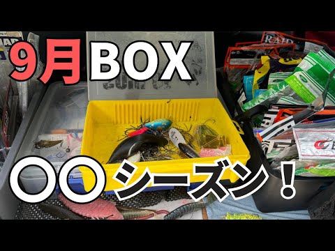 【バス釣り】9月のタックルBOX入れ替え！おすすめルアー、ワーム、狙い所を整理しながら解説。残暑でまだまだ暑いが、あのシーズンに突入！？【人気ルアー】【爆釣祈願】【熱中症注意】