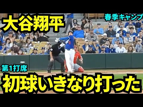 大谷第1打席初球をいきなり打った！！ やる気満タンのオープン戦の大谷翔平！【現地映像】2025年3月5日スプリングトレーニング  レッズ戦