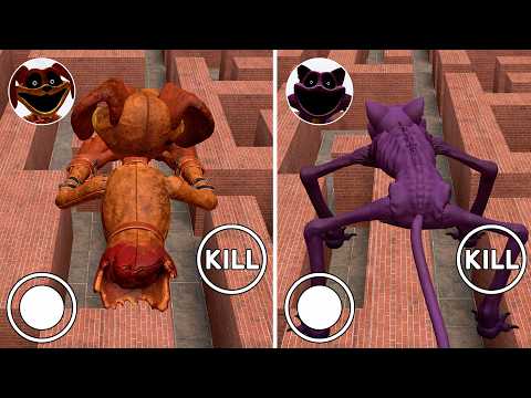 Playing as DOGDAY vs Playing as CATNAP in THE MAZE?! (Garry's Mod)