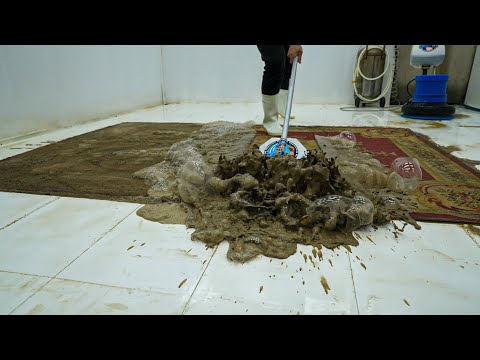 Extreme Carpet Cleaning: Watch Dirt Melt Away in This Satisfying Video