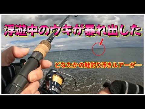 【北海道サーフ2022】プカプカしていた鮭釣り用のウキが急に暴れ出した！