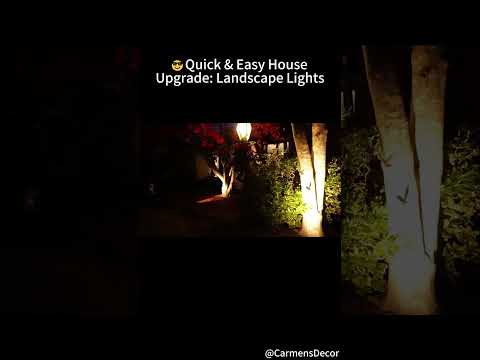 How Gardenreet Spotlights Create Perfect Garden Ambience