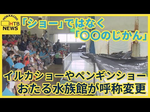 イルカショーやペンギンショー　「ショー」ではなく「〇〇のじかん」へ　 おたる水族館が呼称変更