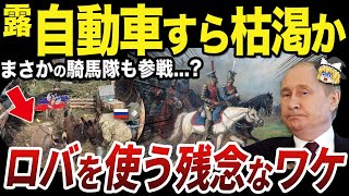 【ゆっくり解説】ロシア軍はロバを使う必要があるほど車両が不足しているのか？