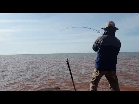 Fishing at Charlottetown pei