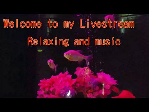 Hello everyone🎶 Welcome to my Livestream💖 Relaxation Video and music🎶