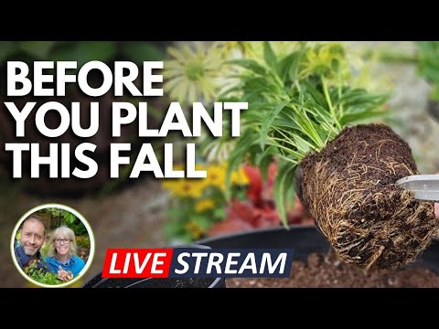 Get Ready For Fall Planting - Prep Your Plants Now!