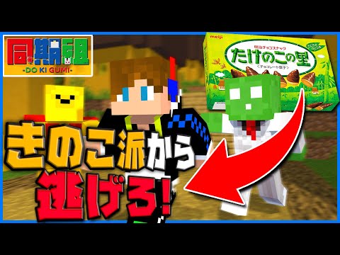 【マイクラ】きのこたけのこ戦争！どちらが先に脱出できるか競ったら最悪な結末に..!?【同期組】