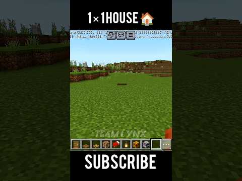 Making 1 × 1 HOUSE in MINECRAFT🏠 #minecraftshorts #youtibeshorts #shorts #minecraftbuilding