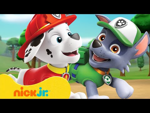 PAW Patrol Friendship Adventures & Rescues! #2 w/ Rocky and Marshall | 10 Minutes | Nick Jr.