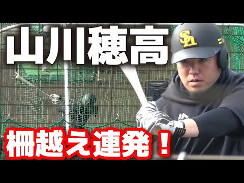 圧倒的な打撃力！　ソフトバンク・山川穂高　柵越え連発！　フリー打撃で圧巻の存在感！春季キャンプ　ソフトバンクホークス　ホームラン　2025.3.1