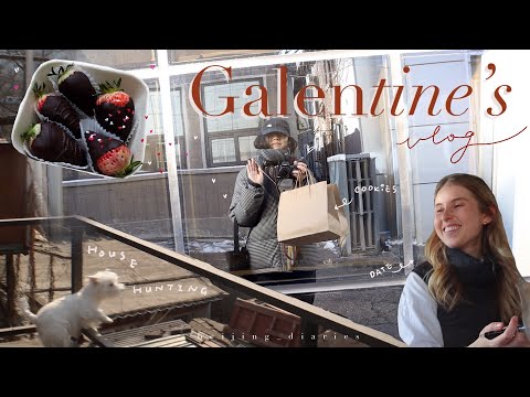 beijing diaries 🌷✨galentine’s day, date night, house hunting