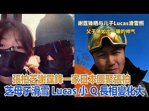 張柏芝謝霆鋒一家日本團聚，張柏芝母子滑雪，Lucas小Q長相變化大！ #谢霆锋#张柏芝#谢振轩#谢振南#Lucas#Quintus#小Q#謝賢#狄波拉#王菲