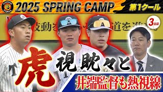 【2/3阪神キャンプ】井端監督も熱視線！トラ選手たちも虎視眈々と・・・