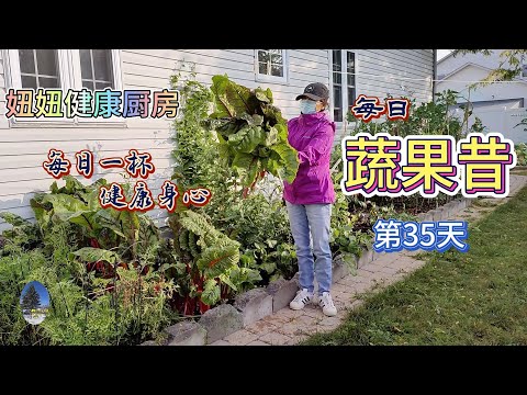 妞妞健康厨房  每日蔬果昔 第35天。食疗。健康。降三高。清除毒素。非药而愈。素食。每日一杯，健康身心。烹饪。（20240708）