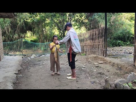 The girl cooked a fish dish bought by Uncle Quoc, the chickens destroyed the vegetable garden.