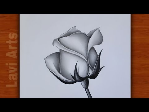 How to draw a beautiful rose | Pencil drawing and Shading tutorial | Rose flower drawing | Lavi Arts