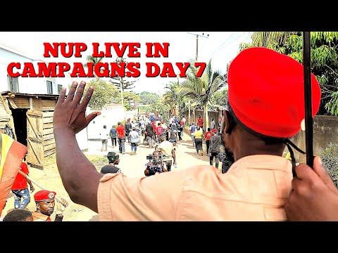 NUP LIVE IN CAMPAIGNS,  THIS IS DAY 7 #nup #bobiwine