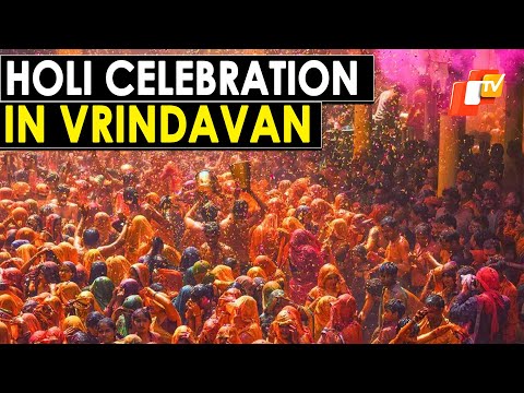 🔴OTV LIVE: Holi Celebrations In Vrindavan, Mathura