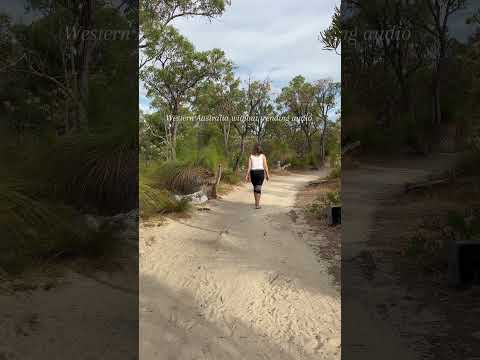 Western Australia without trending audio ✨🕊️ what an evening walk! #australia #expatlife