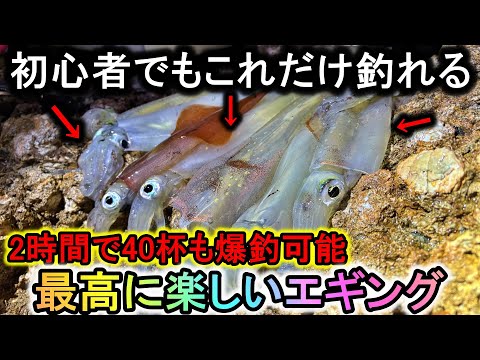 2時間で40杯の大爆釣…初心者でも簡単に釣れる「冬限定のエギング」を知ってほしい