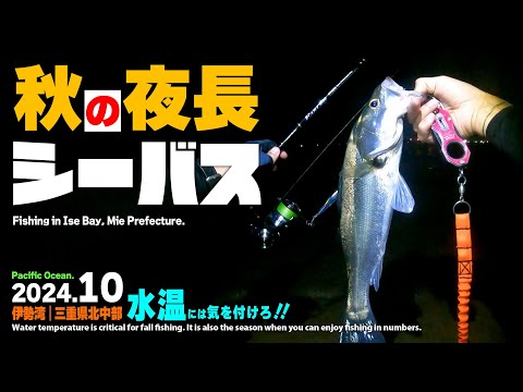 三重県伊勢湾奥でシーバスを釣る！／秋の夜長のスズキ釣り【秋の海釣り】