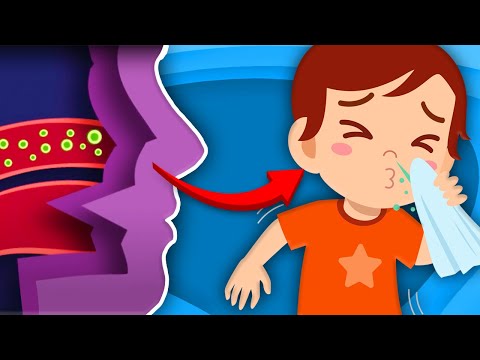 Why Do We Sneeze? | Human Body Songs For Kids | KLT Anatomy