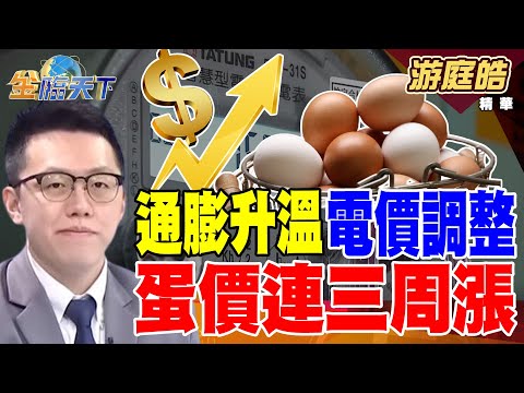 【精華】通膨升溫 電價調整 蛋價連三周漲！ 日本缺工 高通膨 雙重衝擊怎麼解？ #游庭皓 #金臨天下  @tvbsmoney  20250311