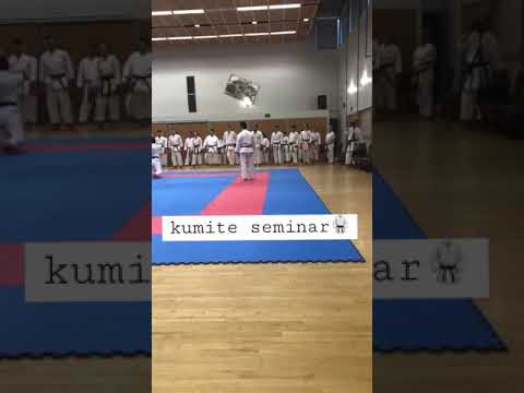 【kumite seminer】#shorts #karate #kumite #sports