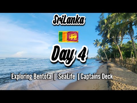 🇱🇰 Sri Lanka | 🇱🇰 Day 4 | 🏝️ Exploring  Bentota & 🏴‍☠️ Pirate Island | #beach #Island #turtles