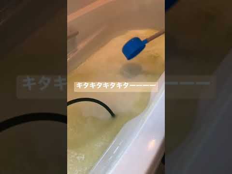 堺市 掃除 家事代行 ヘドロマグマ😨お風呂の隠れた汚れが沸いてきた【配管洗浄】