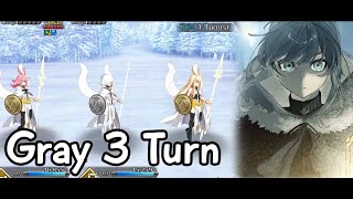 [FGO NA] Road to 7: Super Recollection Quest: Valkyries - Gray 3 turn