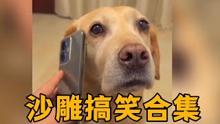 十分鐘搞笑合輯讓你一次笑個夠#funny #搞笑 #memes #有趣 #cute #comedy