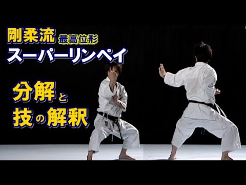 剛柔流型スーパーリンペイ 分解と技の解釈 karatedo kata goju-ryu