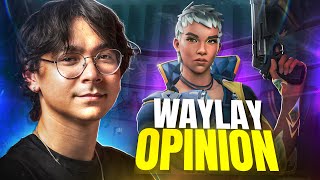 TENZ GIVES IS REAL OPINION ABOUT NEW AGENT WAYLAY !!!