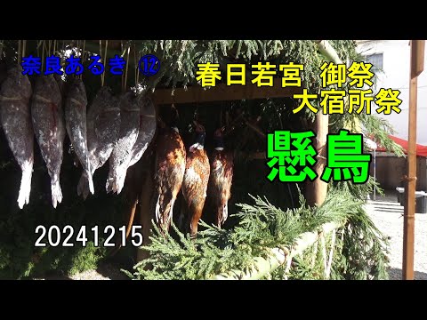 奈良あるき⑫ 懸鳥～春日若宮 御祭 大宿所祭～